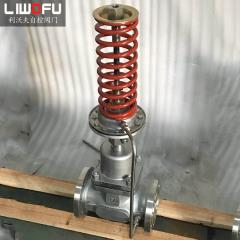 自力式壓力調(diào)節(jié)閥：科技引領(lǐng)，壓力控制新篇章